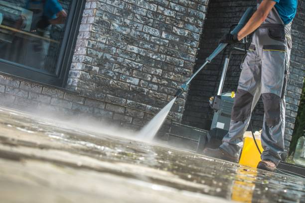 Best Building Exterior Washing  in Sleepy Eye, MN
