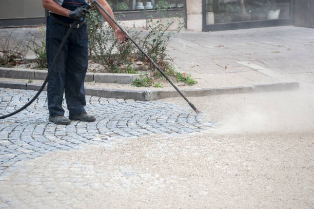 Best Sidewalk and Walkway Cleaning  in Sleepy Eye, MN